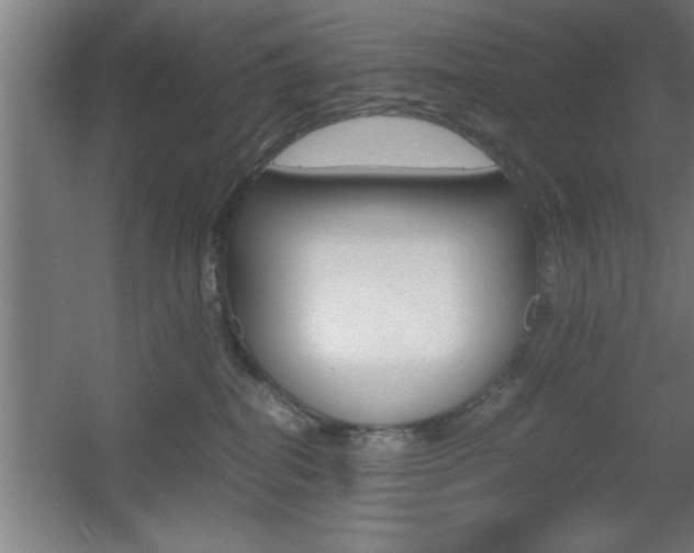 X0000060550282200511030900