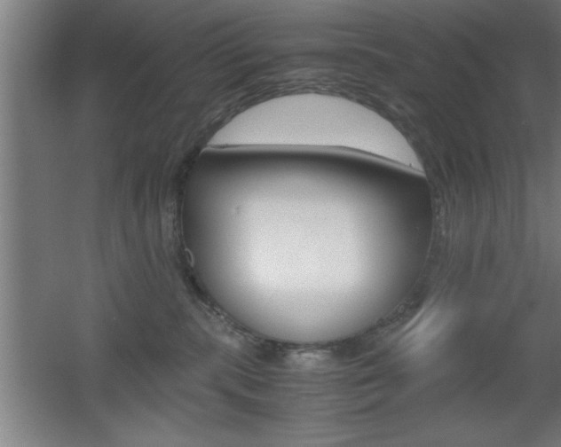 X0000060550283200511030900