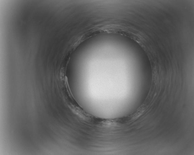 X0000060550284200511030900