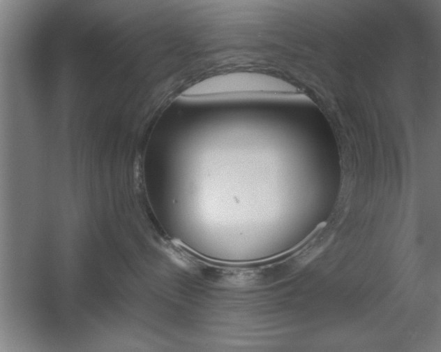X0000060550288200511030900