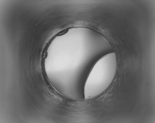 X0000060550292200511030859