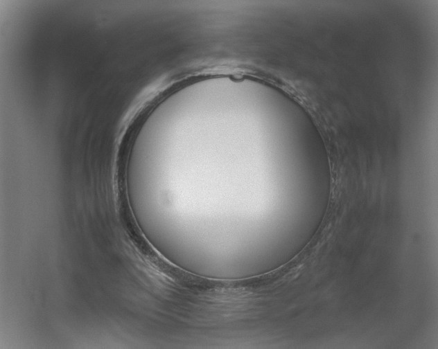X0000060550296200511030859