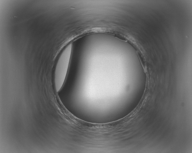 X0000060550297200511030859