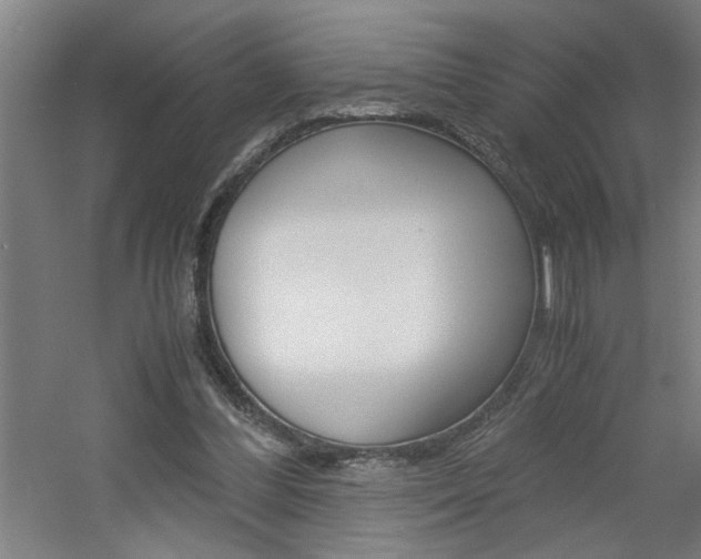 X0000060550300200511030859