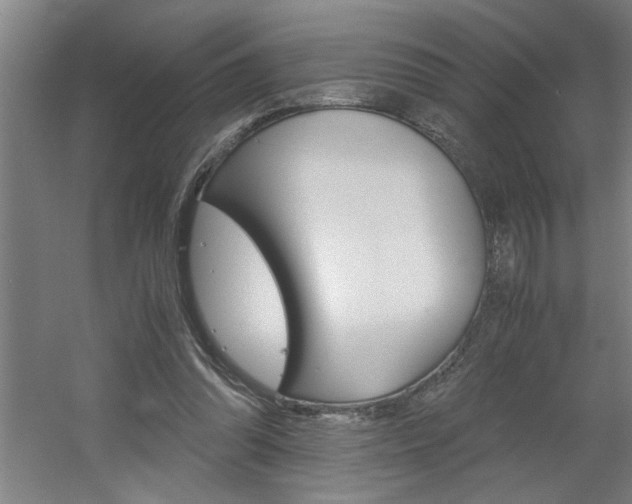 X0000060550302200511030859