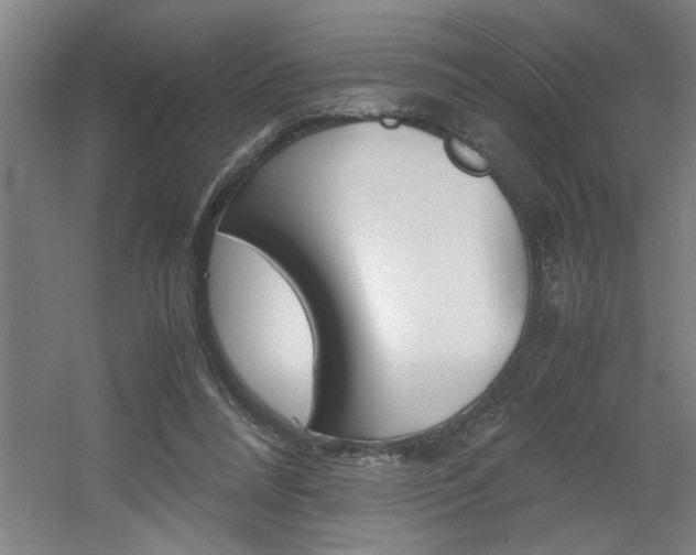 X0000060550304200511030859
