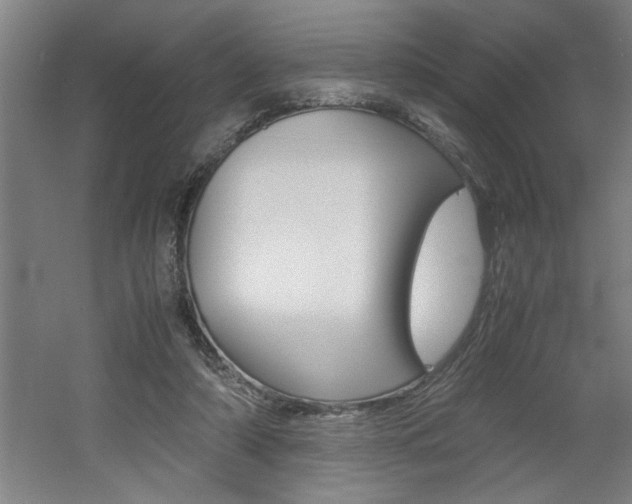 X0000060550306200511030859