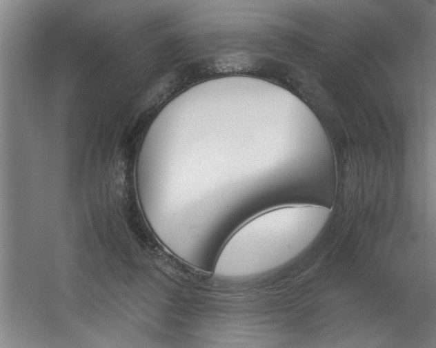 X0000060550308200511030859