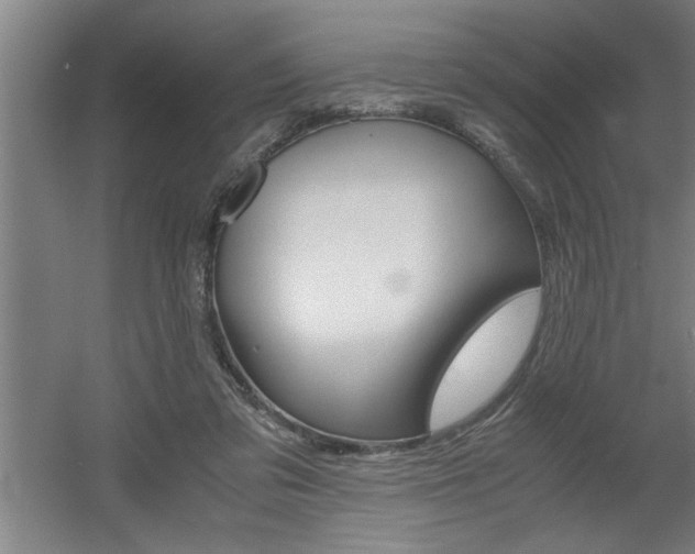 X0000060550309200511030859