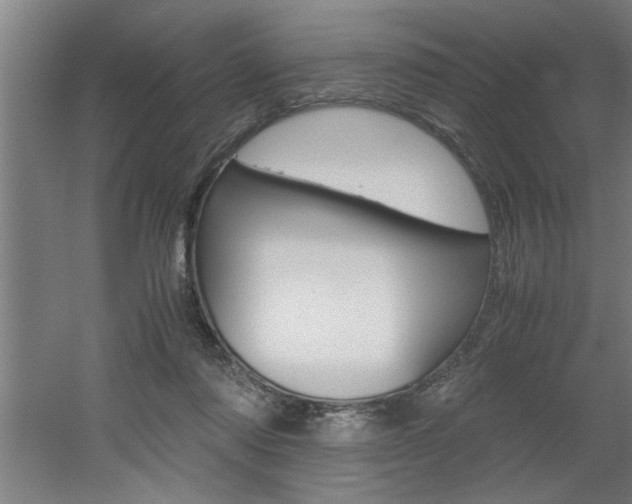 X0000060550310200511030859