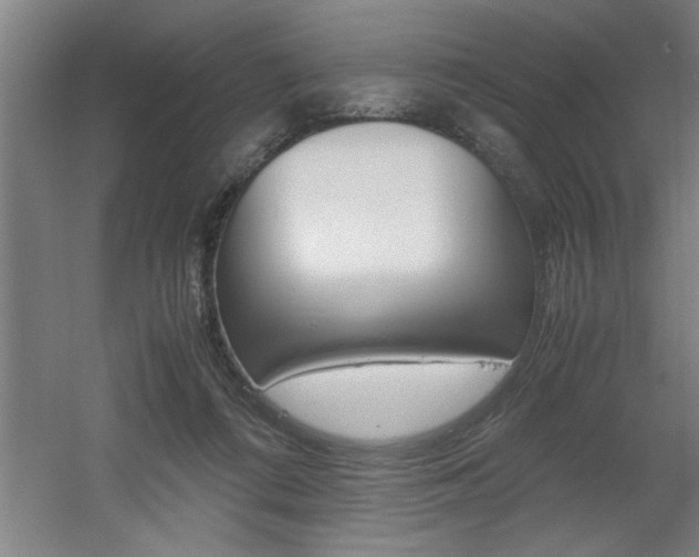 X0000060550312200511030859