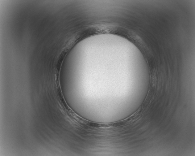 X0000060550314200511030859