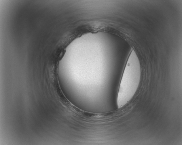 X0000060550319200511030859