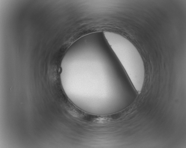 X0000060550323200511030859