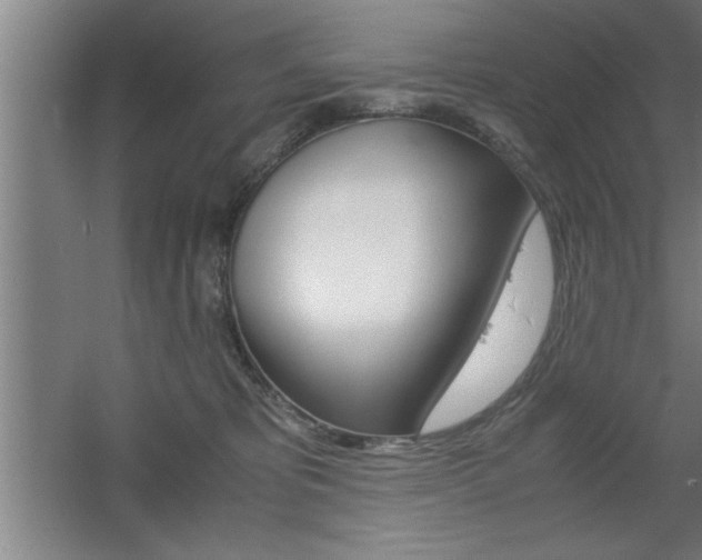 X0000060550325200511030859