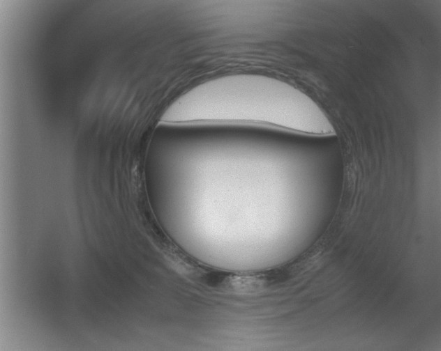 X0000060550327200511030858