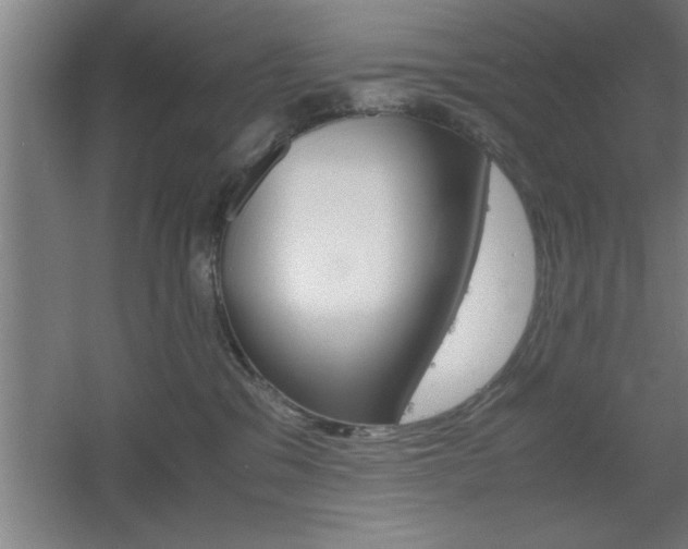 X0000060550329200511030858