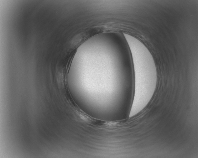 X0000060550333200511030858