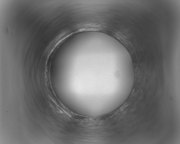 X0000060550338200511030858
