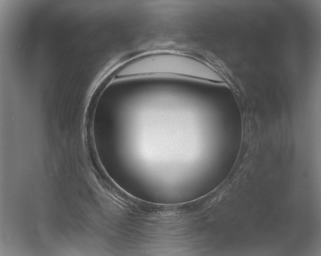 X0000060550344200511030858