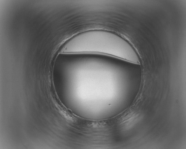X0000060550345200511030858