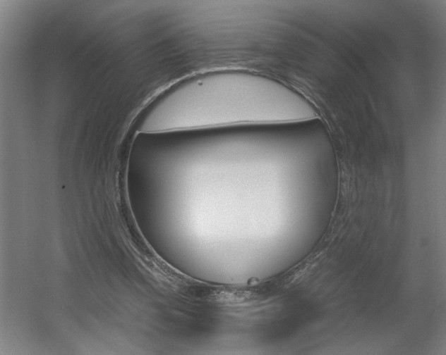 X0000060550346200511030858