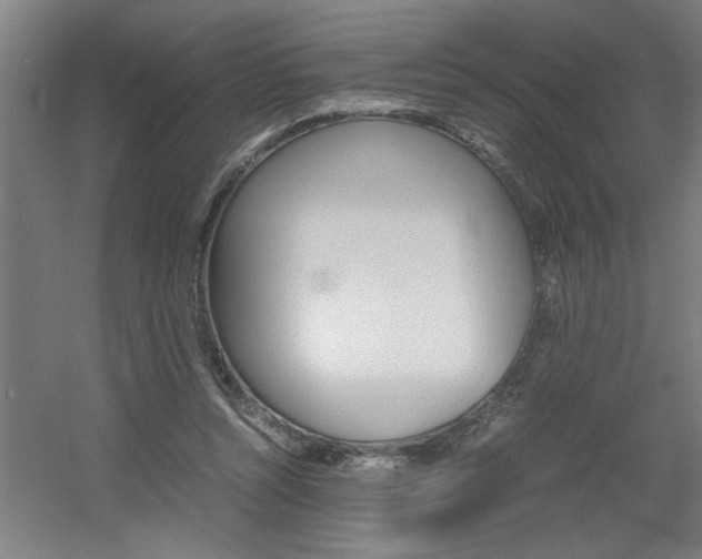 X0000060550352200511030858
