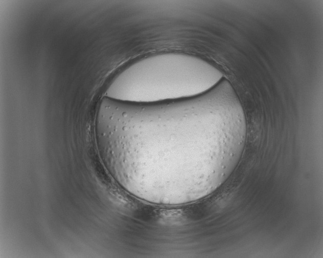 X0000060550355200511030858