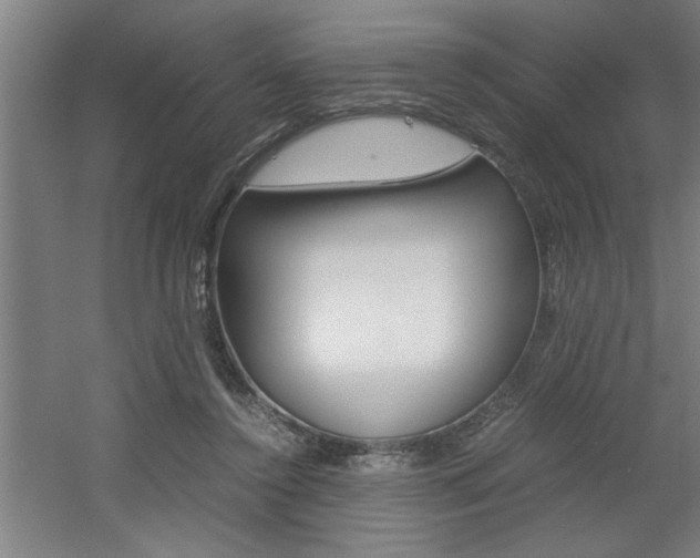 X0000060550356200511030858