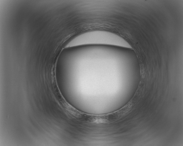 X0000060550360200511030858