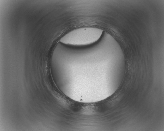 X0000060550362200511030858