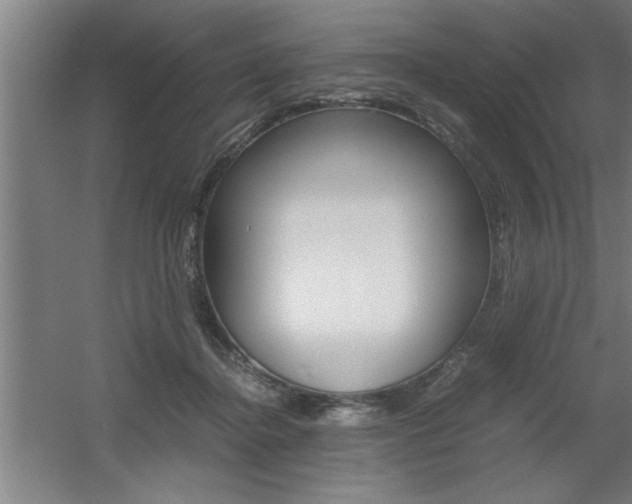 X0000060550364200511030858