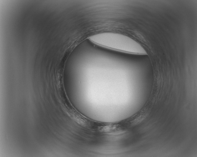 X0000060550366200511030858