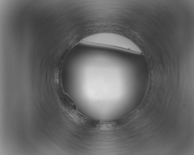 X0000060550368200511030858