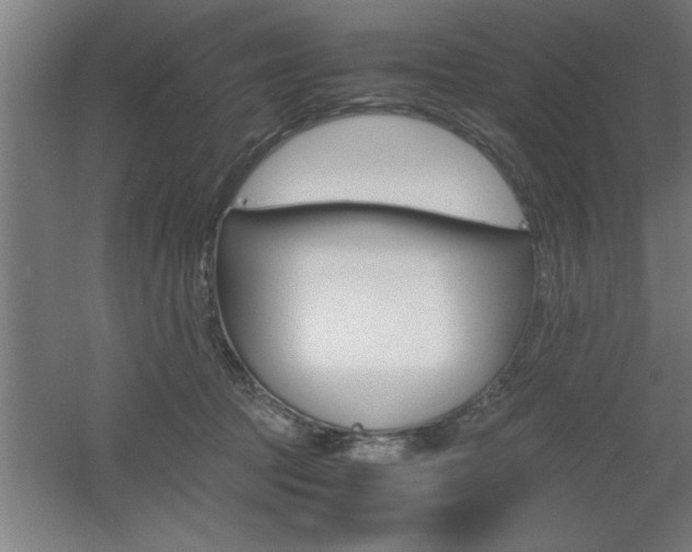 X0000060550369200511030858