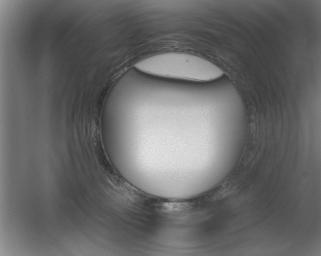X0000060550371200511030858