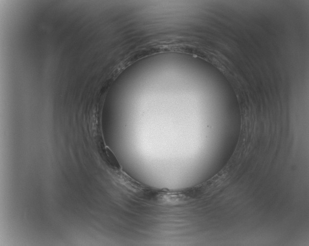 X0000060550372200511030858