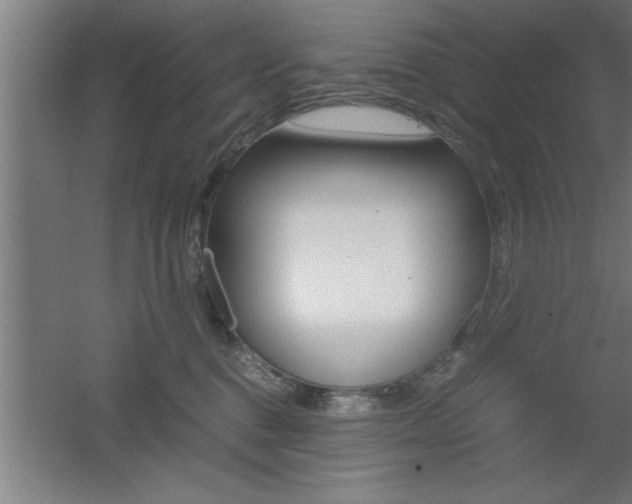 X0000060550376200511030858