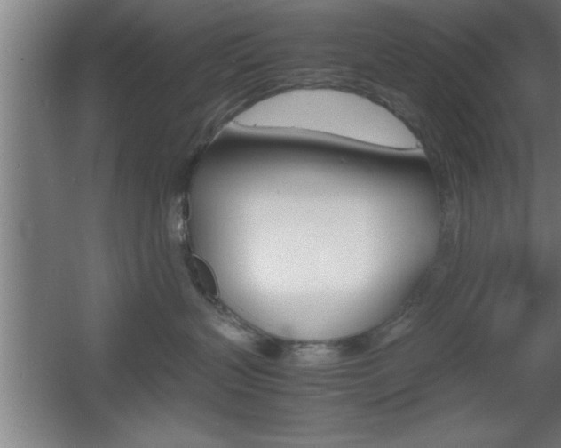 X0000060550383200511030858