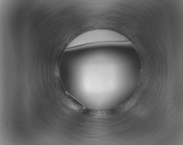 X0000060550384200511030858