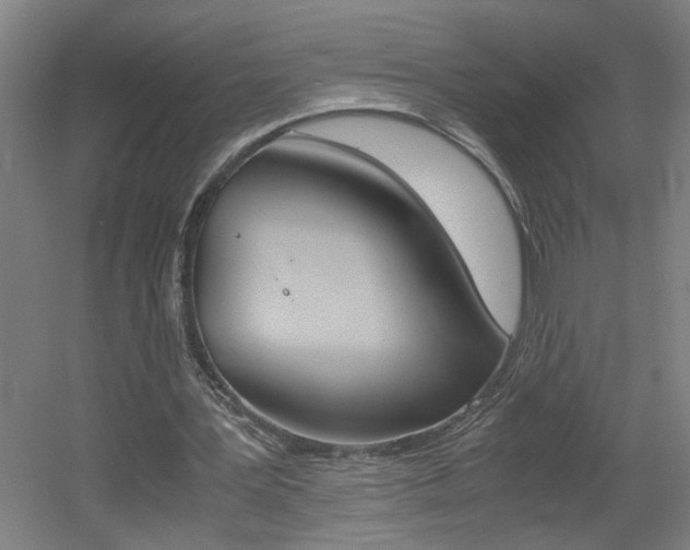 X0000060550387200511030857