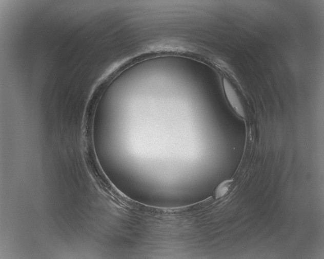 X0000060550388200511030857