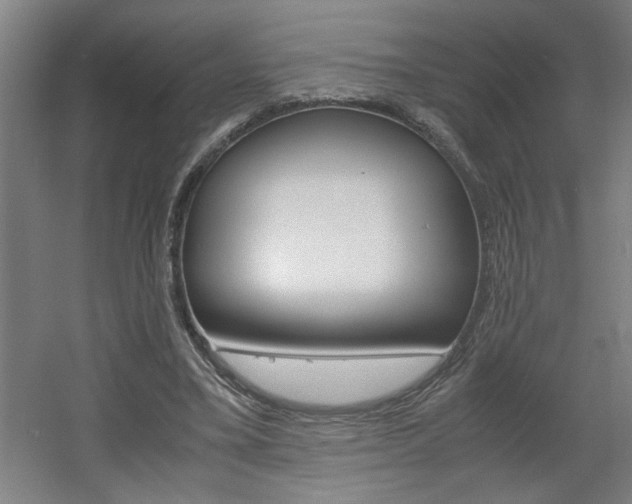 X0000060550395200511030857