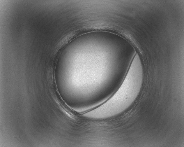 X0000060550397200511030857
