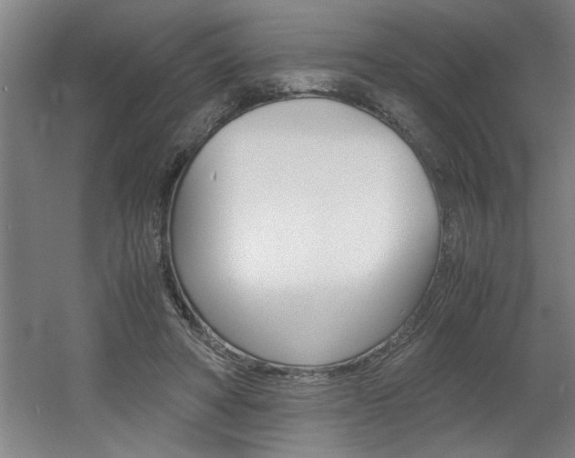 X0000060550402200511030857