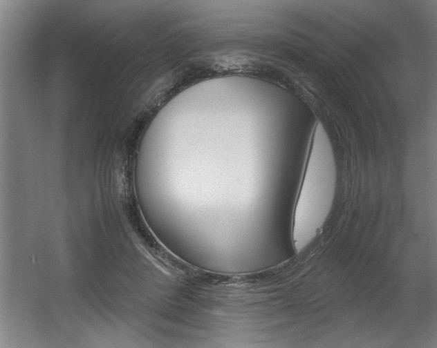 X0000060550408200511030857