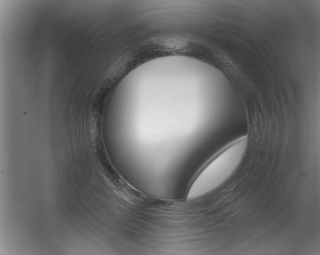 X0000060550412200511030857