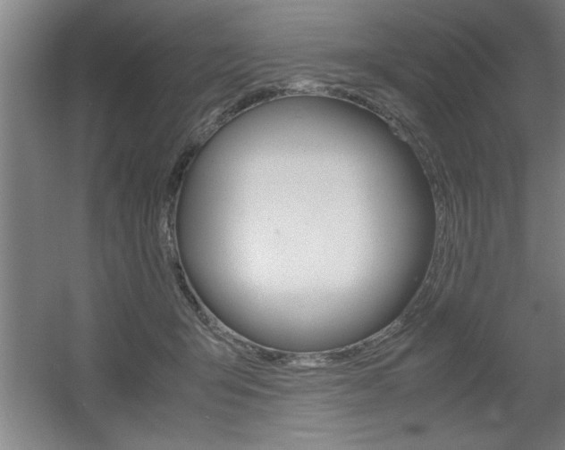 X0000060550415200511030857
