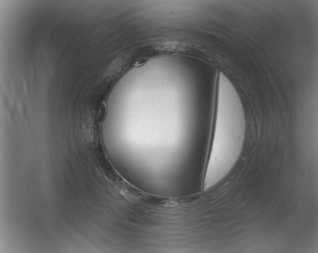 X0000060550416200511030857