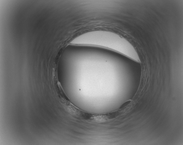 X0000060550417200511030857